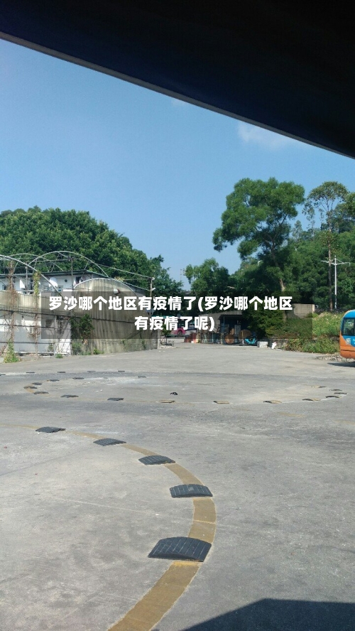 罗沙哪个地区有疫情了(罗沙哪个地区有疫情了呢)-第3张图片