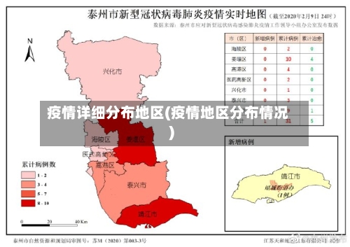 疫情详细分布地区(疫情地区分布情况)