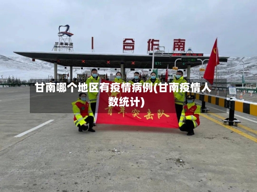 甘南哪个地区有疫情病例(甘南疫情人数统计)