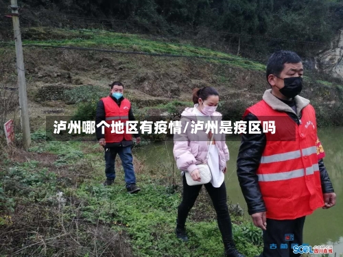 泸州哪个地区有疫情/泸州是疫区吗