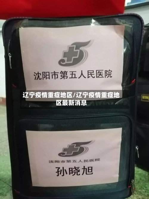 辽宁疫情重症地区/辽宁疫情重症地区最新消息